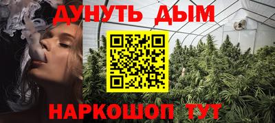 амф Бердск