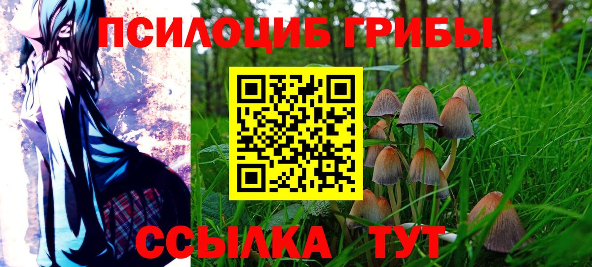 Псилоцибиновые грибы мицелий  Галлюциногенные грибы Psilocybe  Коряжма  Вход с VPN 