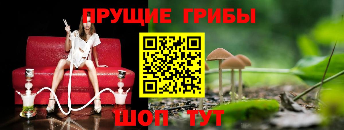 Псилоцибиновые грибы мухоморы Коряжма