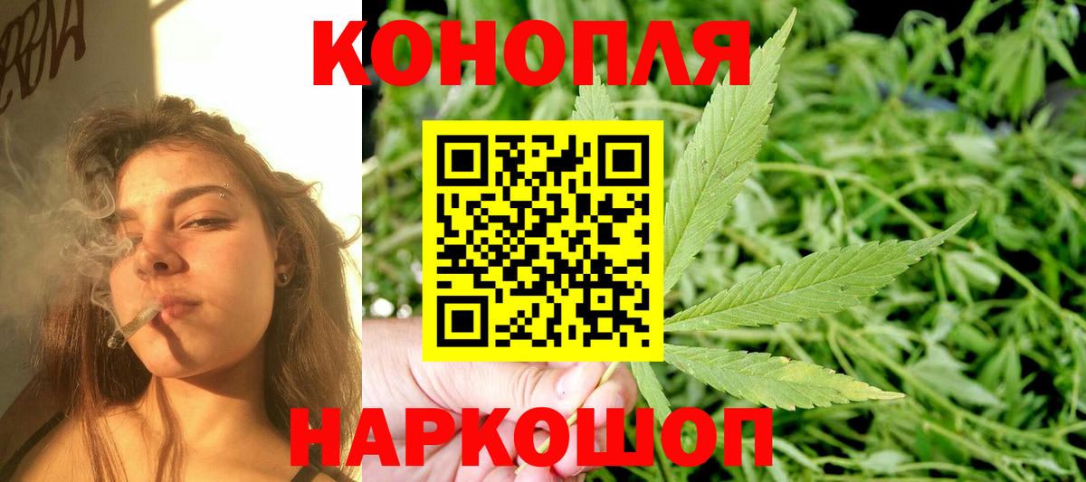 Бошки Шишки марихуана Коряжма